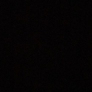 Meet your Posher, Elsa